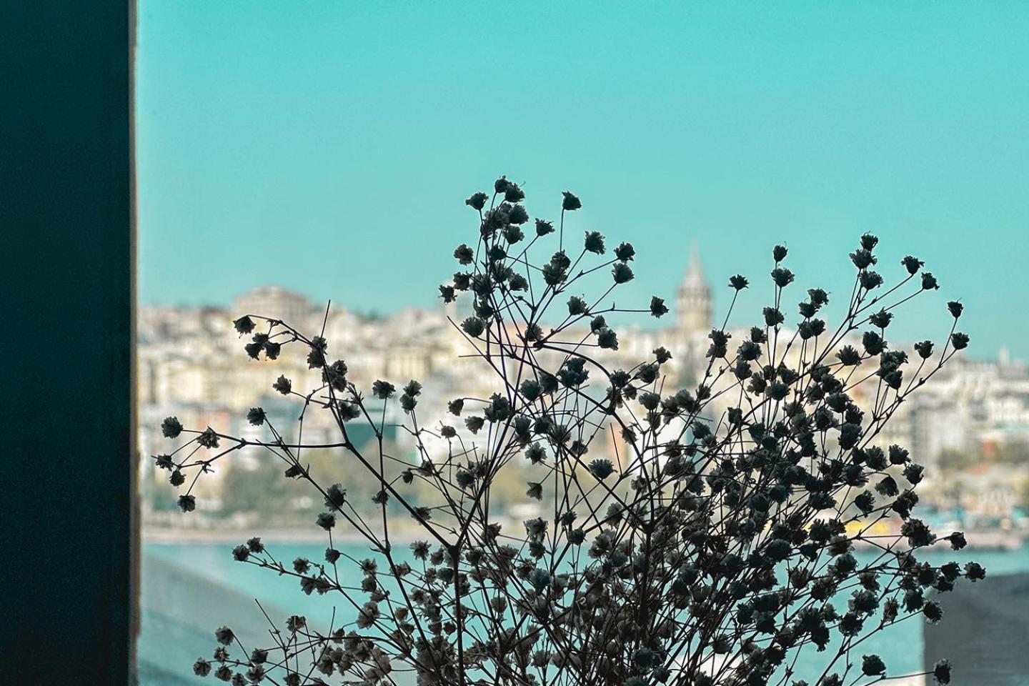The Halic Bosphorus Hotel Κωνσταντινούπολη Εξωτερικό φωτογραφία
